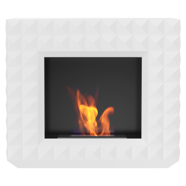 Bio Fireplace Egzul